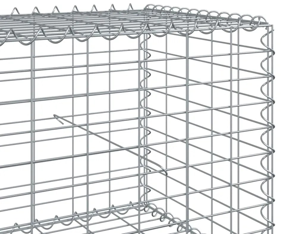 vidaXL Συρματοκιβώτιο με Κάλυμμα 400x100x50εκ. από Γαλβανισμένο Χάλυβα