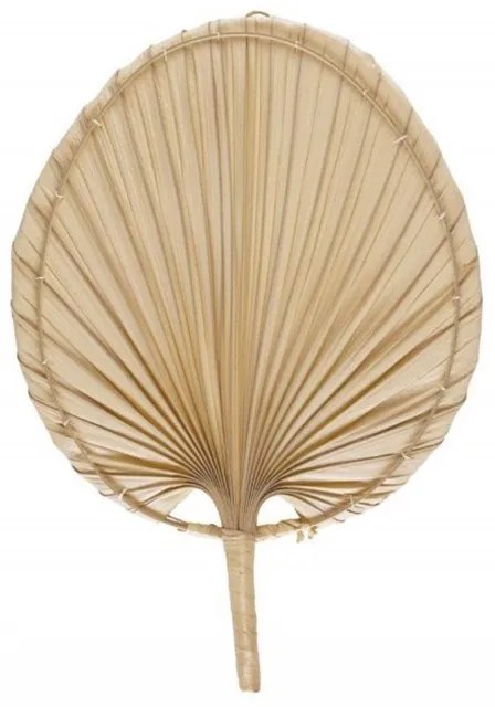 Διακοσμητικό Τοίχου Palm Leave AH-AX20095 29x42cm Natural Andrea House Φύλλο Φοίνικα