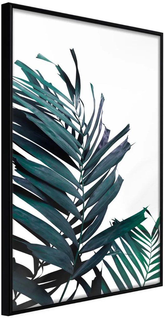 Αφίσα - Evergreen Palm Leaves - 20x30 - Μαύρο - Χωρίς πασπαρτού