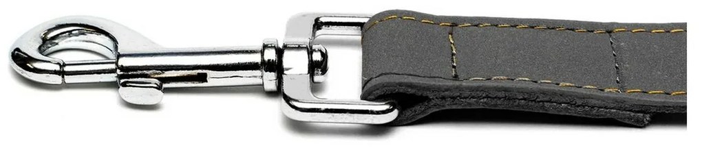 Λουρί Σκύλου Gloria Oasis Μαύρο (2.1 x 100 cm)