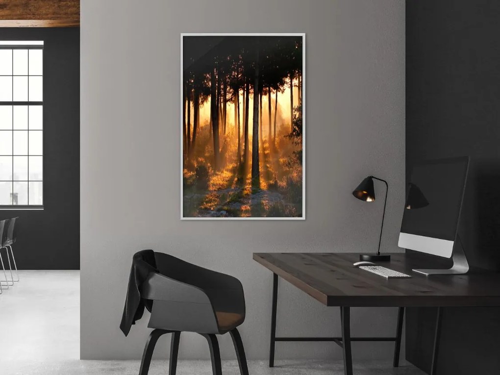 Αφίσα - Dark Tree Tops - 20x30 - Χρυσό - Χωρίς πασπαρτού