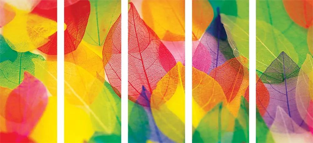 Λίστες εικόνων 5 μερών σε φθινοπωρινά χρώματα - 200x100