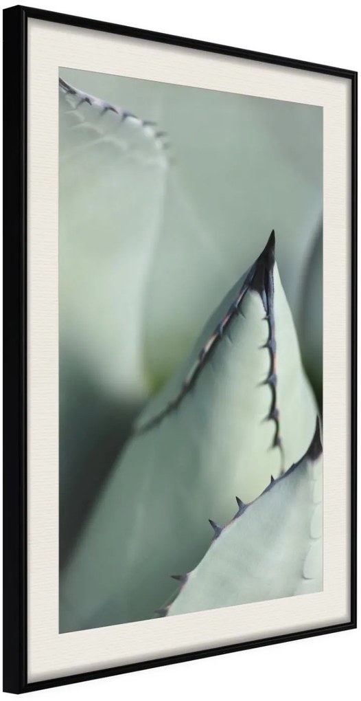 Αφίσα - Young Leaf of Agave - 20x30 - Μαύρο - Με πασπαρτού