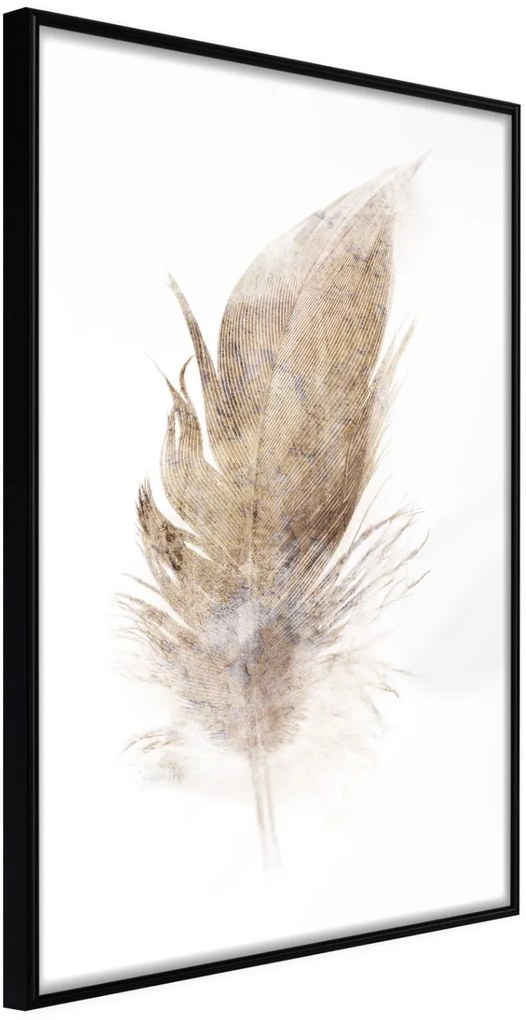 Αφίσα - Lost Feather (Beige) - 20x30 - Μαύρο - Χωρίς πασπαρτού