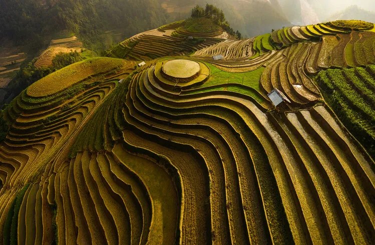 Φωτογραφία Mu Cang Chai Vietnam, Dao Tan Phat