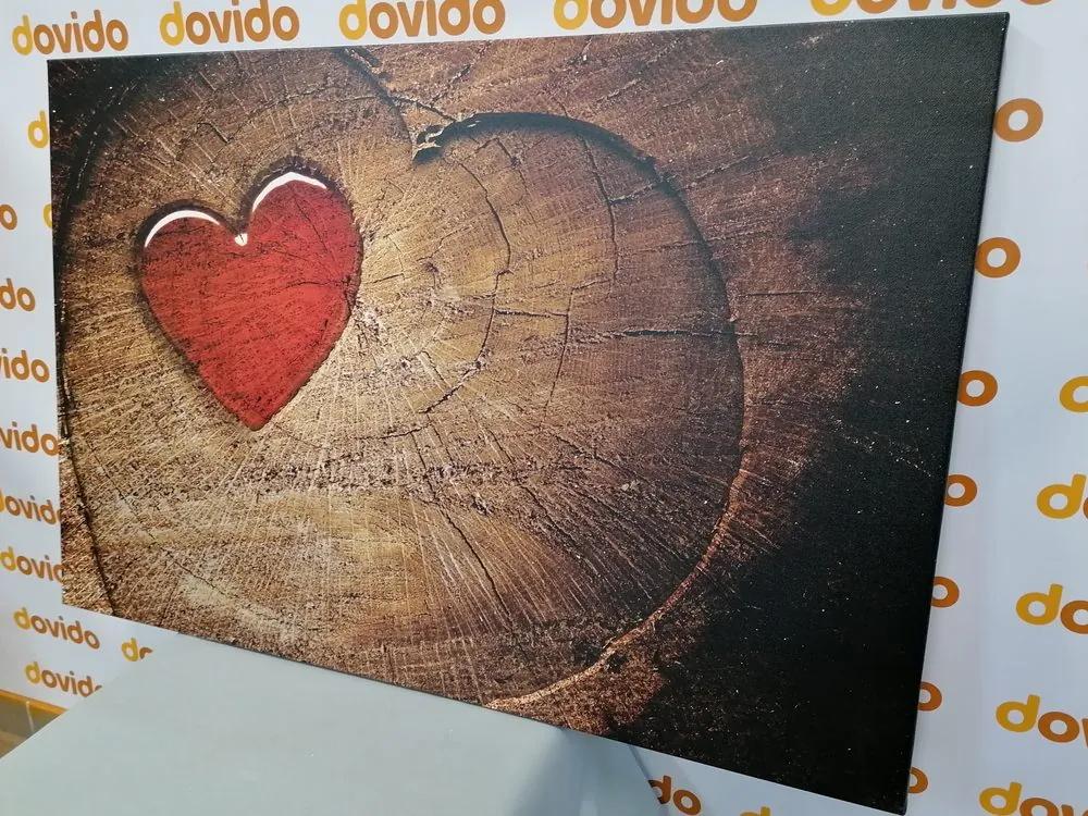 Εικόνα μιας καρδιάς σε ένα κούτσουρο - 120x80