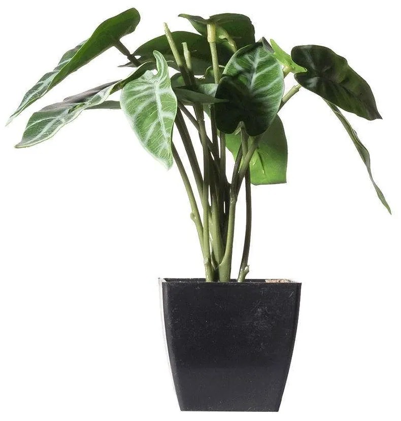 Τεχνητό Φυτό Αλοκάσια Amazonica Polly 0160-6 14x18x22cm Green Supergreens Πολυαιθυλένιο