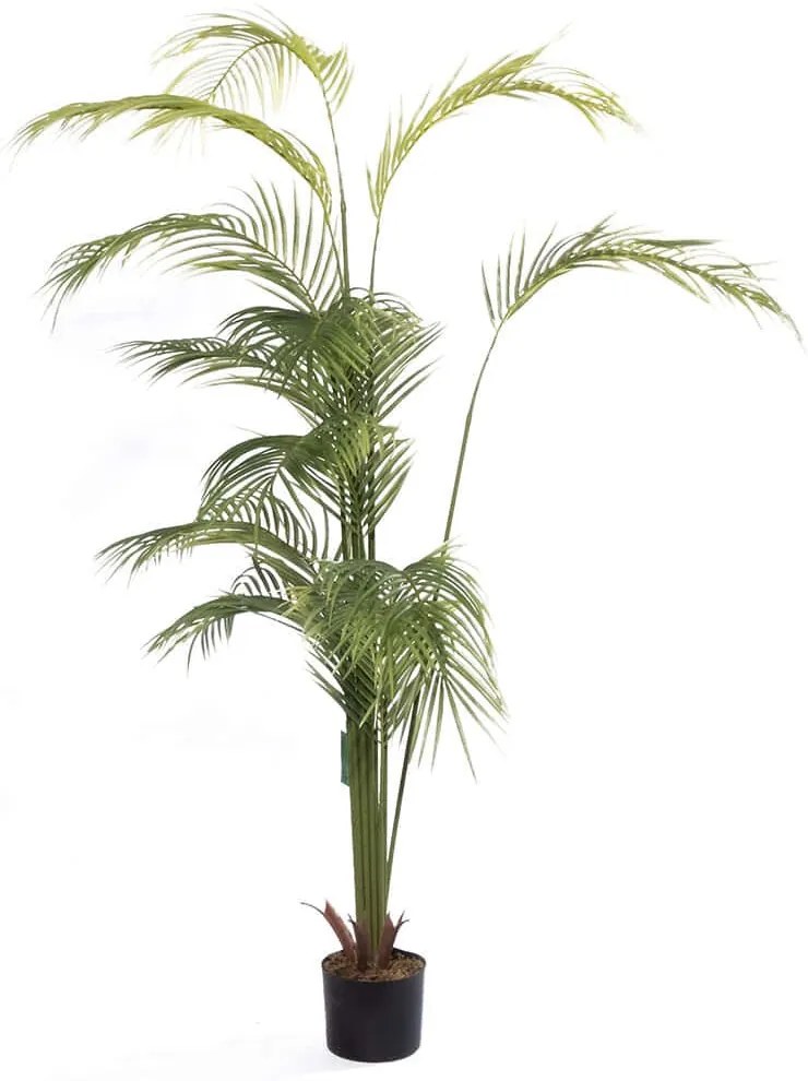 Τεχνητό Δέντρο Αρέκα Coral 4111-6 80x80x190cm Green Supergreens Πολυαιθυλένιο