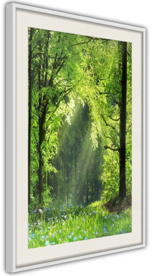 Αφίσα - Forest Path - 30x45 - Χρυσό - Χωρίς πασπαρτού