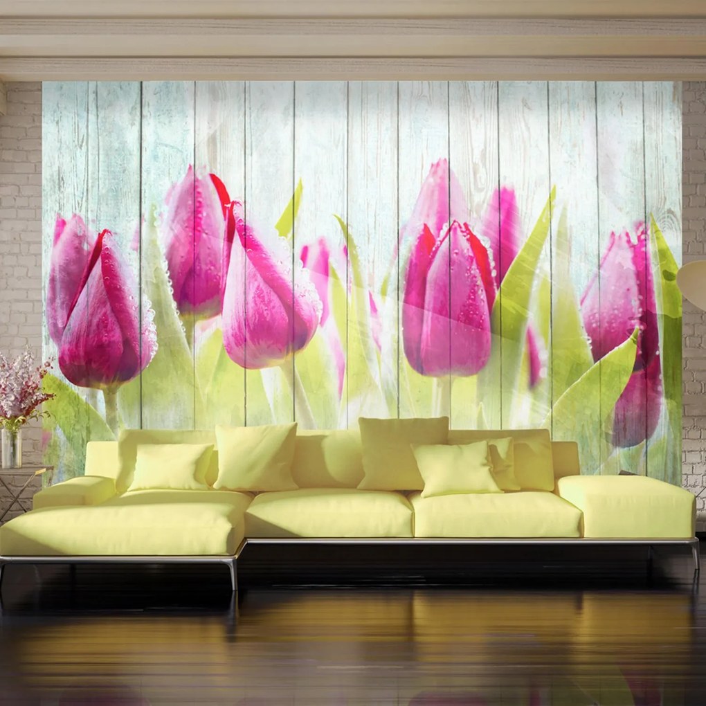 Φωτοταπετσαρία - Tulips on white wood 250x175