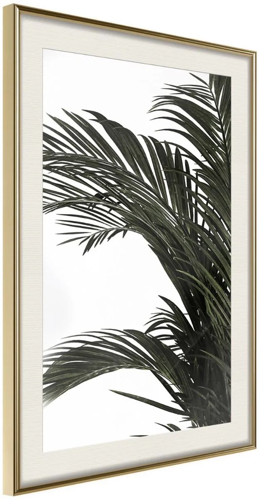 Αφίσα - Jungle Scent - 40x60 - Χρυσό - Με πασπαρτού