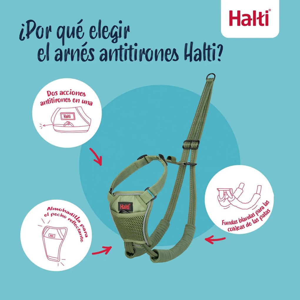 Λουρί Σκύλου Company of Animals FOREST Πράσινο L