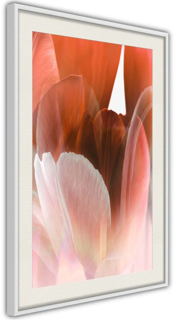 Αφίσα - Tulip Petals - 20x30 - Χρυσό - Με πασπαρτού