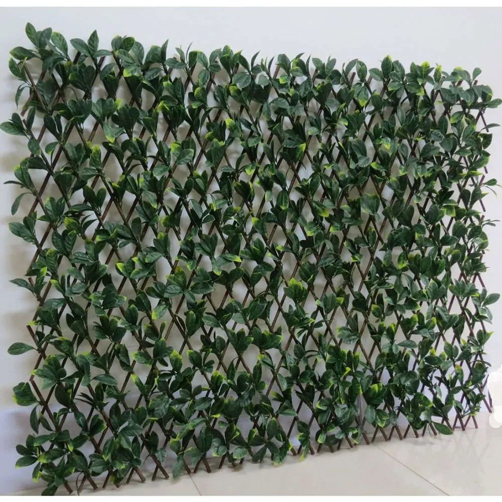 Πτυσσόμενη Πέργκολα Σεφλέρα 9681-7 100x200cm Green Supergreens 100X200