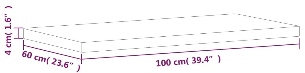 vidaXL Πάγκος Μπάνιου 100x60x4 εκ. από Μασίφ Ξύλο Οξιάς