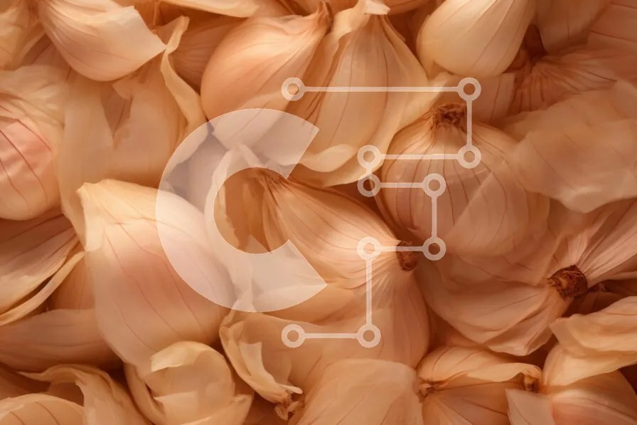 Intra Συλλεκτικό Ξύλινο Παζλ Plywood  4mm - Γκρο πλαν εικόνα των βολβών σκόρδου Σε Ξύλινο Κουτί - Διαστάσεις: 10x10 cm – 25 κομμάτια