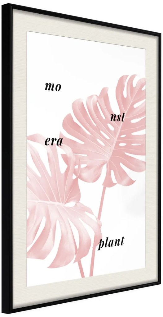 Αφίσα - Pale Pink Monstera - 20x30 - Μαύρο - Με πασπαρτού