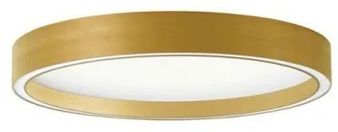 Πλαφονιέρα Φωτιστικό Οροφής LED 30W 3000K/4000K Φ40 Vanessa Viokef-4292701-Χρυσό 4292701