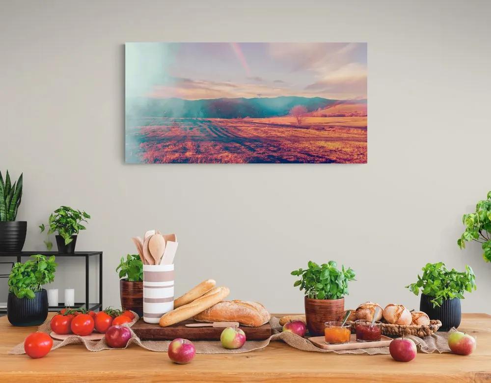 Εικόνα αγρός σε φθινοπωρινά χρώματα - 120x60