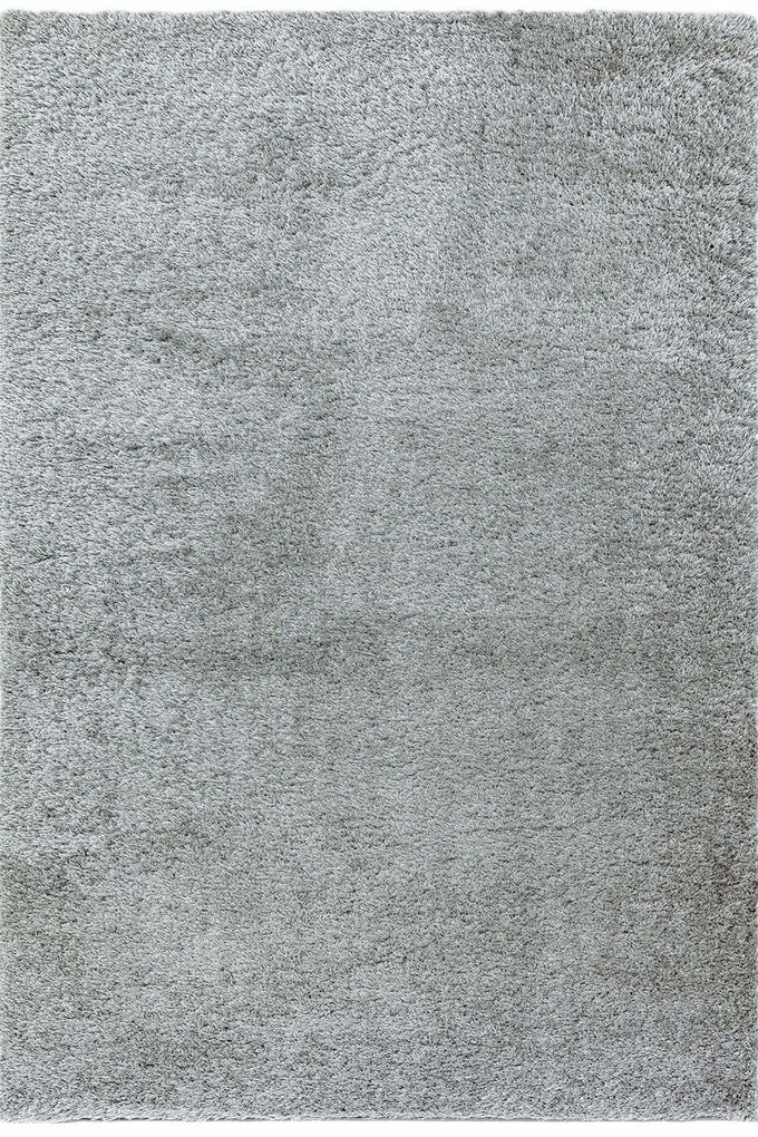 Χαλί Payton Silver Asiatic London 80X150cm