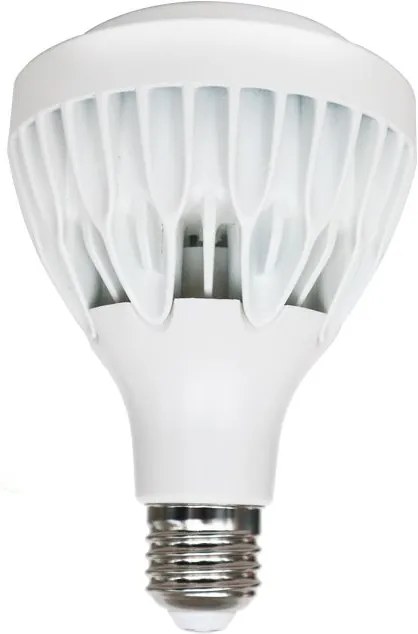 Λαμπτήρας LED E27 PAR30 25W 4000K Zoomable