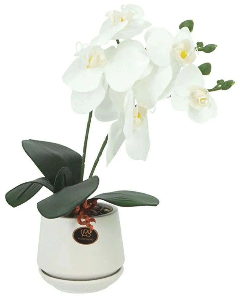 Τεχνητή Ορχιδέα Σε Κασπώ 00-00-23333-1 10x36cm Multi-White Marhome Κεραμικό,Πλαστικό