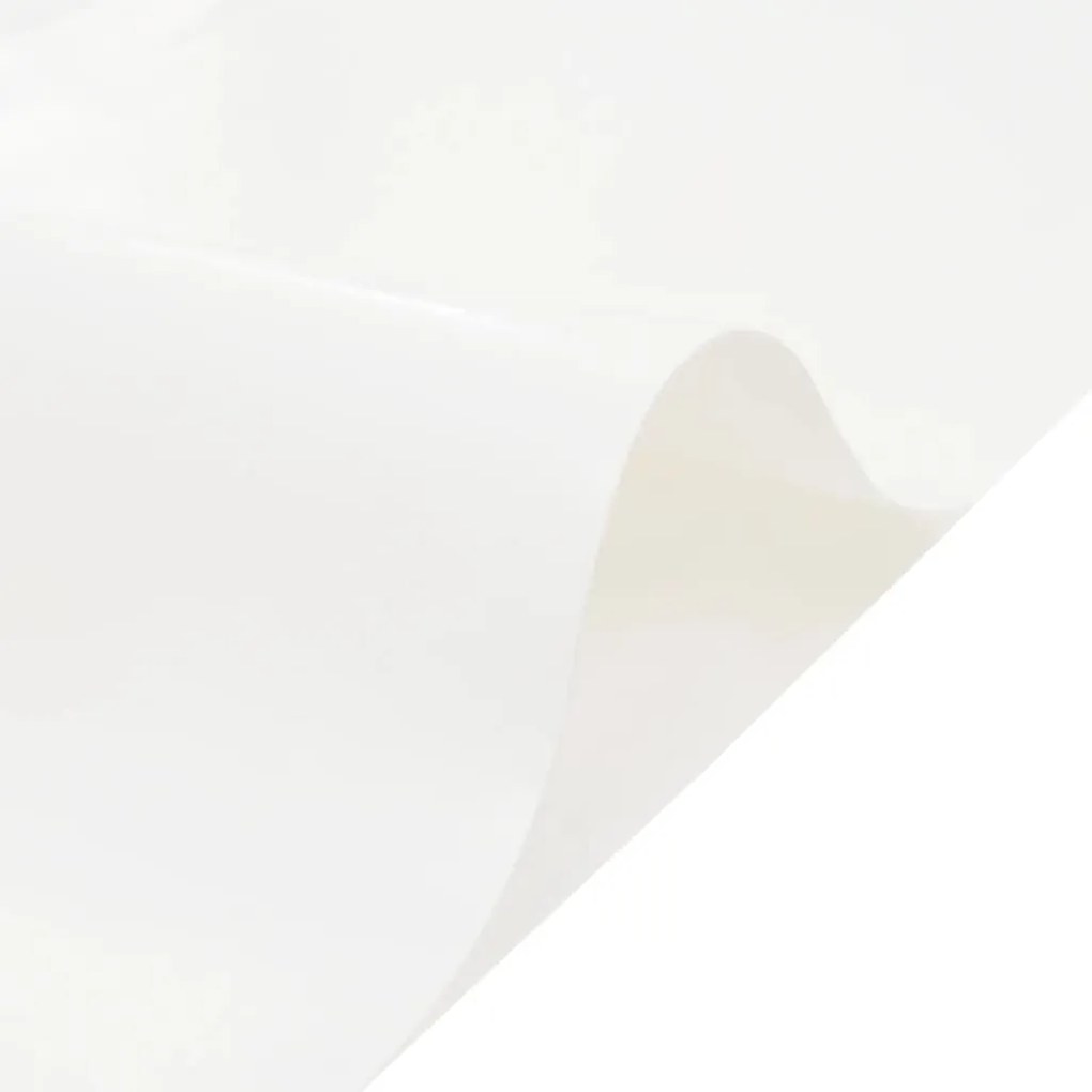 vidaXL Μουσαμάς Λευκός 5 x 6 μ. 650 γρ./μ²