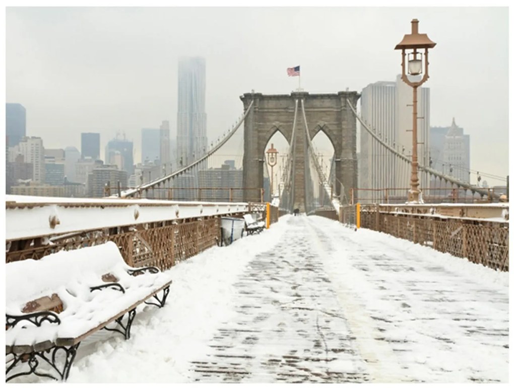 Φωτοταπετσαρία - Snow-covered bridge in New York 200x154