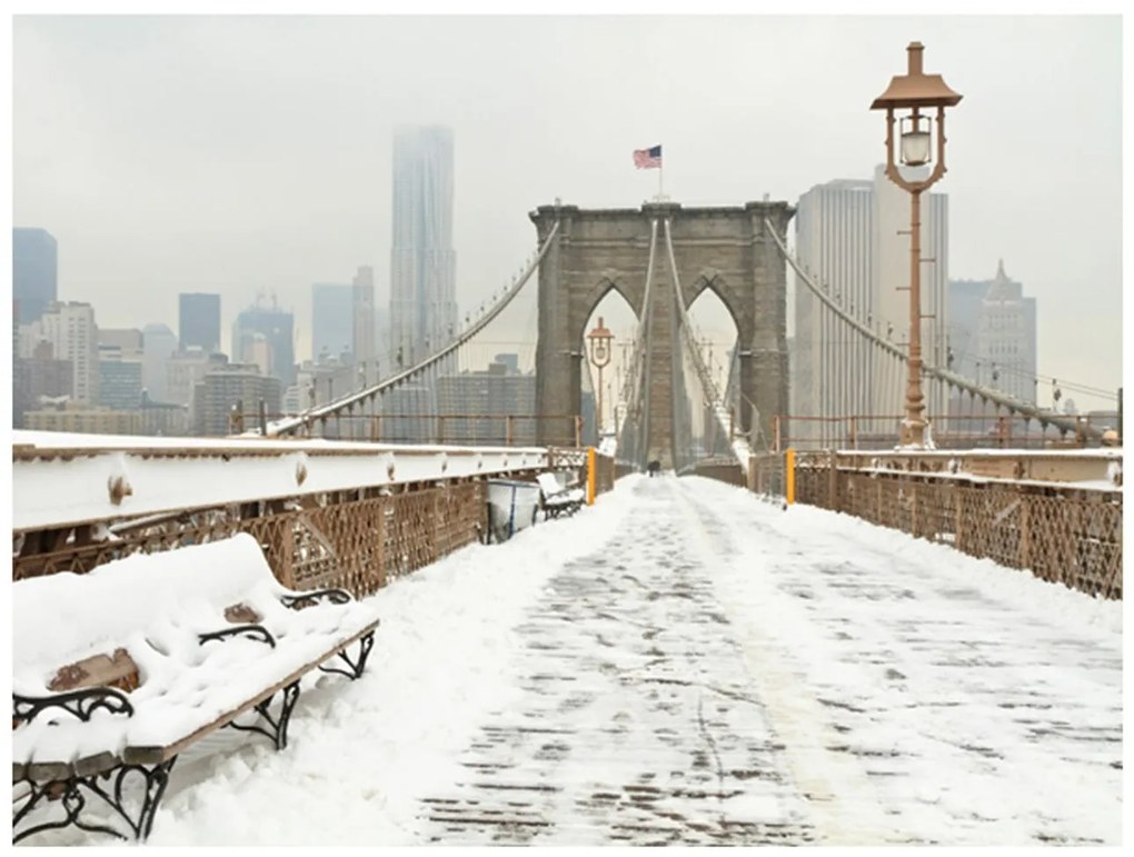 Φωτοταπετσαρία - Snow-covered bridge in New York 300x231