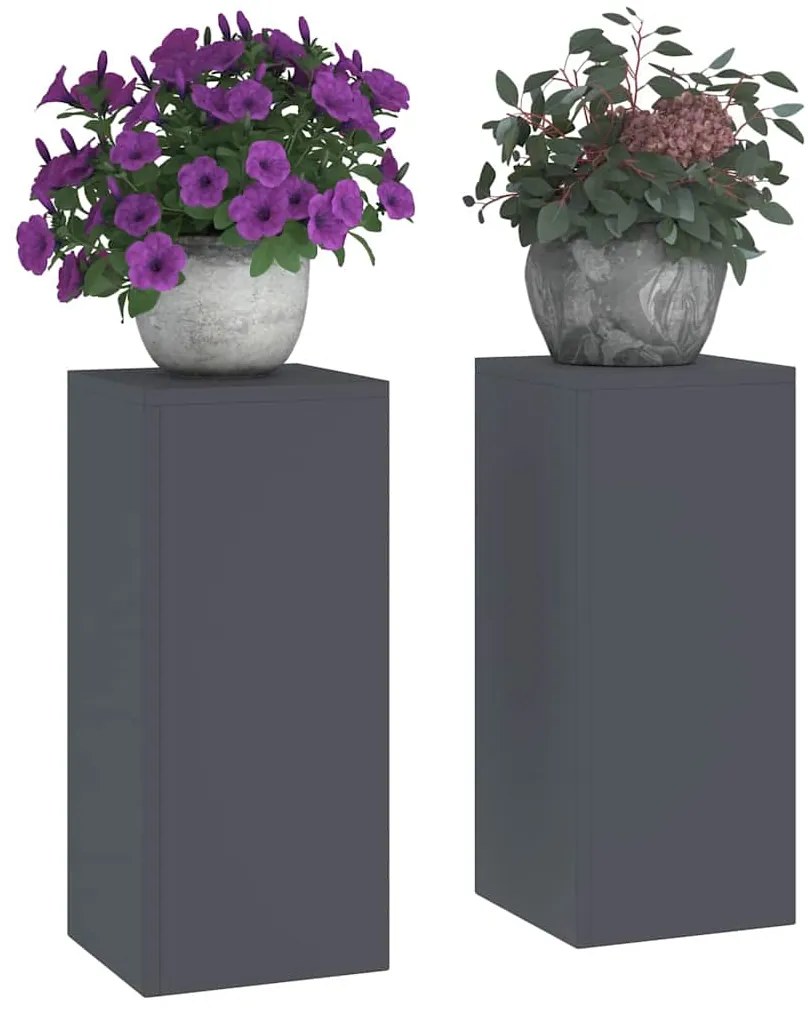 vidaXL Στήριξη φυτών 2 pcs Ανθρακί 24 x 24 x 55 εκ. Ατσάλι