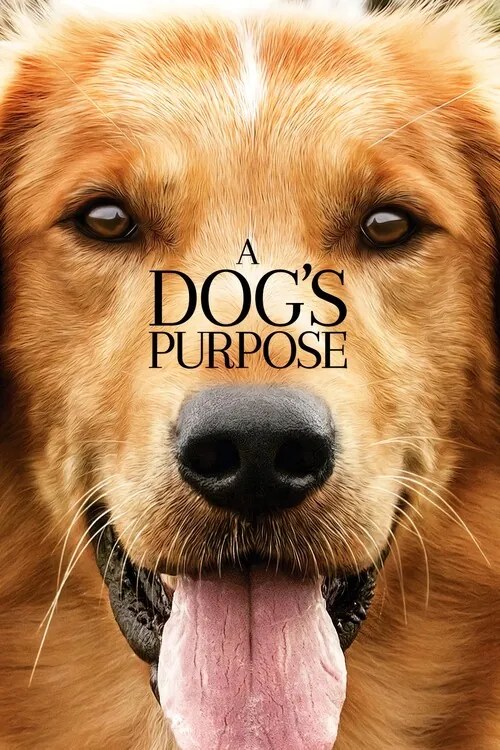 Εικονογράφηση A Dog's Purpose (2017)