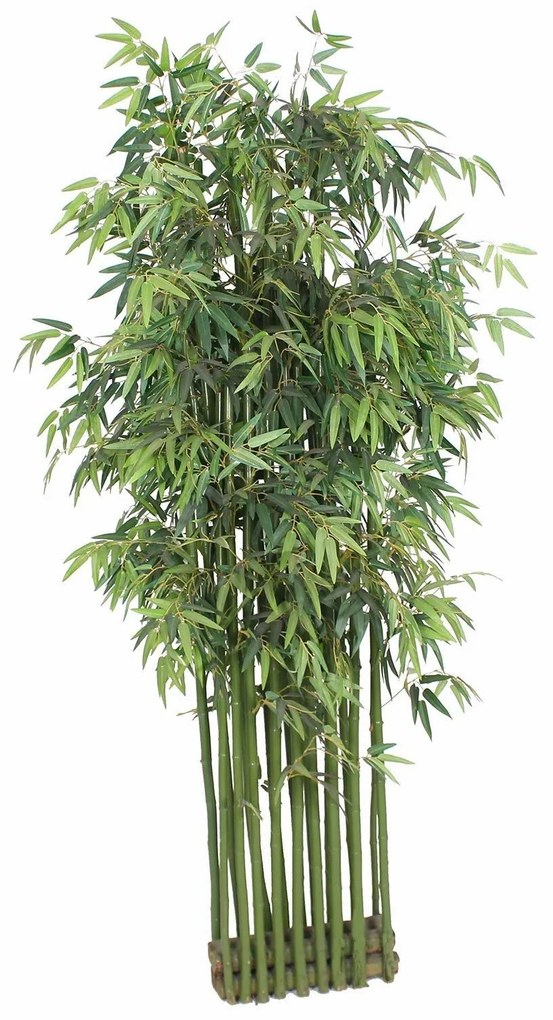 Supergreens Τεχνητό Μπαμπού Tallgrass Διαχωριστικό Πράσινο 200 εκ.