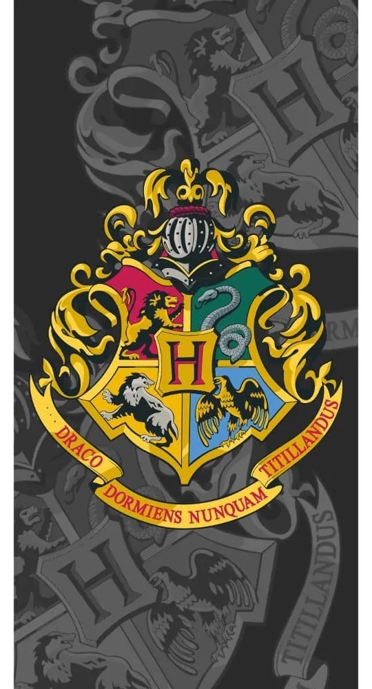 Borea Πετσέτα Θαλάσσης Βαμβακερή Βελούδινη Harry Potter 320gsm 70 x 140 cm Γκρι