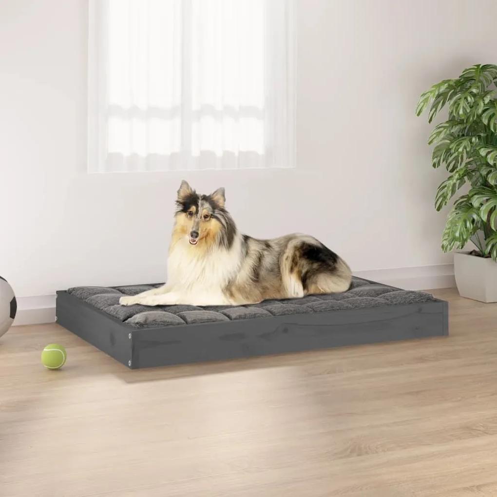 Κρεβάτι Σκύλου Γκρι 91,5 x 64 x 9 εκ. από Μασίφ Ξύλο Πεύκου - Γκρι