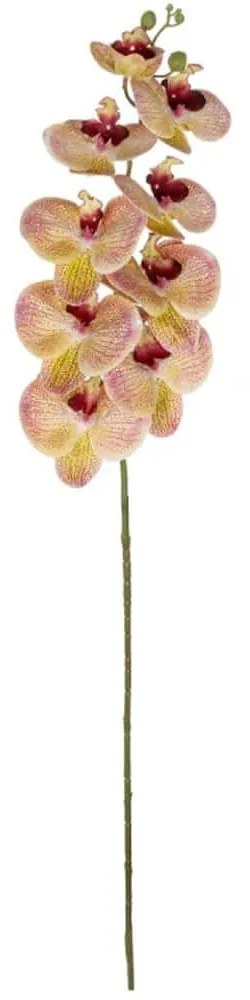 Τεχνητό Λουλούδι Orchid 21405 95cm Pink-Salmon GloboStar Πολυαιθυλένιο