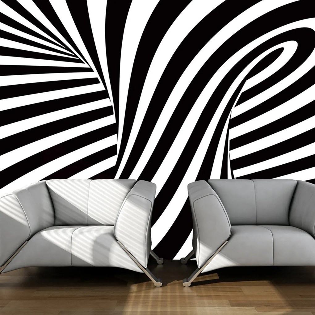 Φωτοταπετσαρία - optical art: black and white 250x193