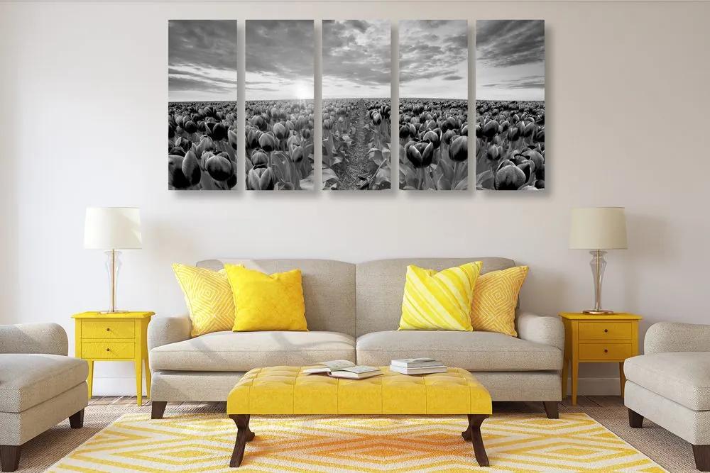 Εικόνα 5 μερών της ανατολής του ηλίου πάνω από ένα λιβάδι με τουλίπες σε μαύρο και άσπρο - 200x100