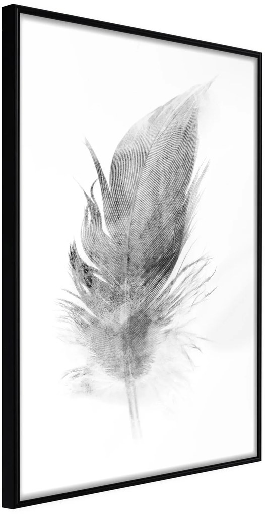 Αφίσα - Lost Feather (Grey) - 20x30 - Μαύρο - Χωρίς πασπαρτού