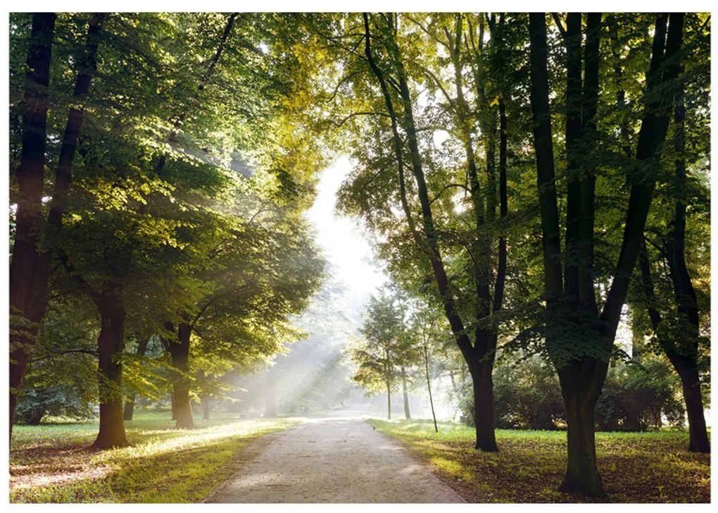 Φωτοταπετσαρία - Morning Walk 100x70