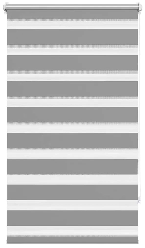 vidaXL Ρόλερ Zebra Γκρι 70 x 120cm