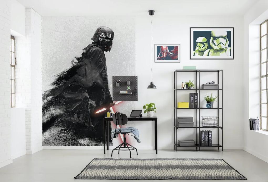 Φωτοταπετσαρία Star Wars Kylo Vader Shadow DX4-074