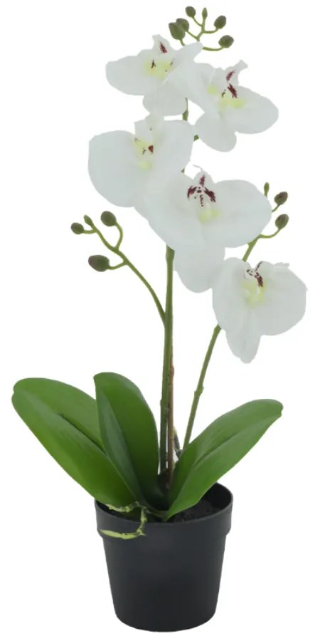 ORCHID 3 ΤΕΧΝΗΤΟ ΦΥΤΟ PE/PP PEVA ΛΕΥΚΟ ΠΡΑΣΙΝΟ H35cm - 022417