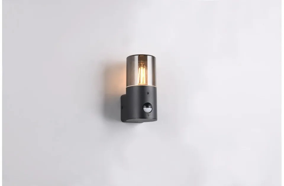 Απλίκα Φωτιστικό Τοίχου E27 28W IP54 Hoosic 222260132 Trio Lighting-222260132-Μαύρο 222260132