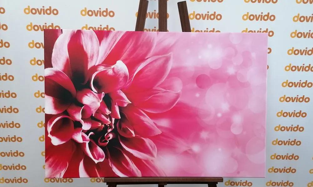 Εικόνα ροζ λουλούδι - 60x40