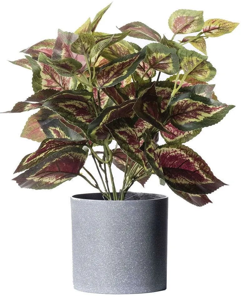 Τεχνητό Φυτό Περίλλα 6160-6 30x30x35cm Multi Supergreens Polyethylene