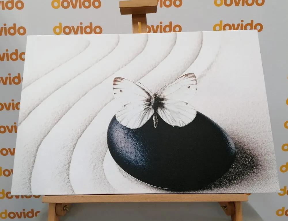 Εικόνα λευκής πεταλούδας σε μαύρη πέτρα - 90x60