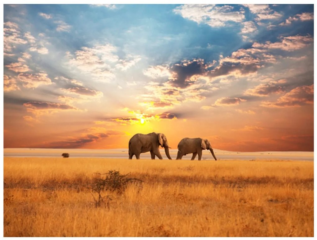 Φωτοταπετσαρία - African savanna elephants 200x154