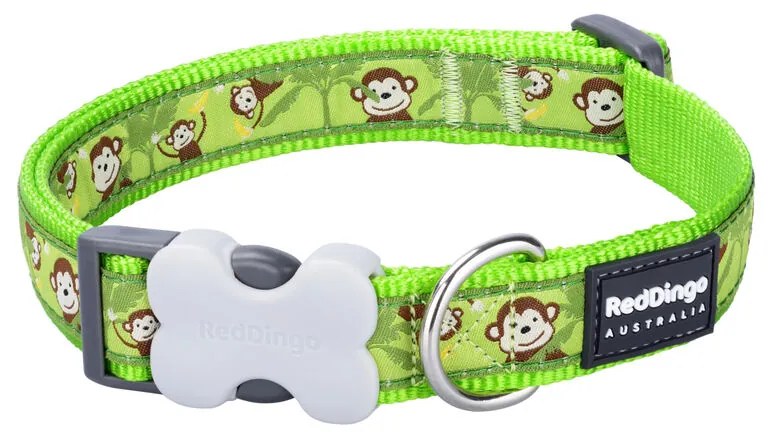 Κολλάρο Σκύλου Red Dingo STYLE MONKEY LIME GREEN 31-47 cm