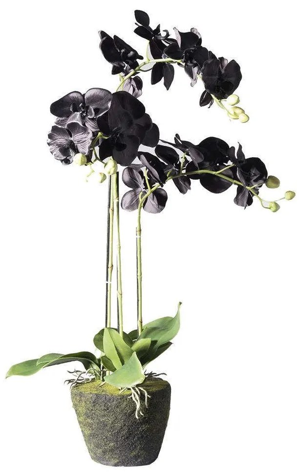 Τεχνητό Φυτό Ορχιδέα Με Βάση Moss 5170-6 39x25x85cm Black Supergreens Polyethylene