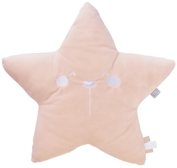 Διακοσμητικό Μαξιλάρι Διπλής Όψης Salmon Star